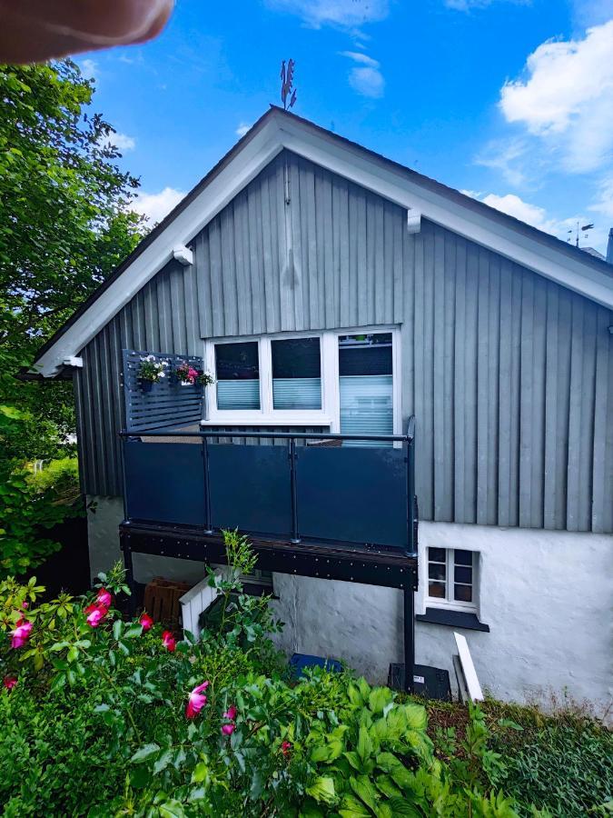 Ferienwohnung Platzhirsch Fuer 2 - 4 Pers. Вінтерберг Екстер'єр фото