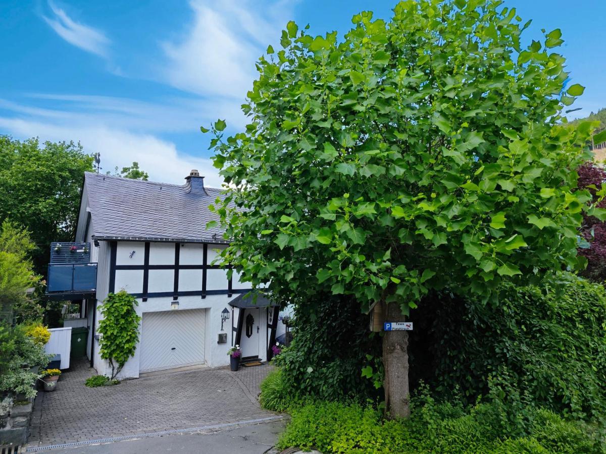 Ferienwohnung Platzhirsch Fuer 2 - 4 Pers. Вінтерберг Екстер'єр фото